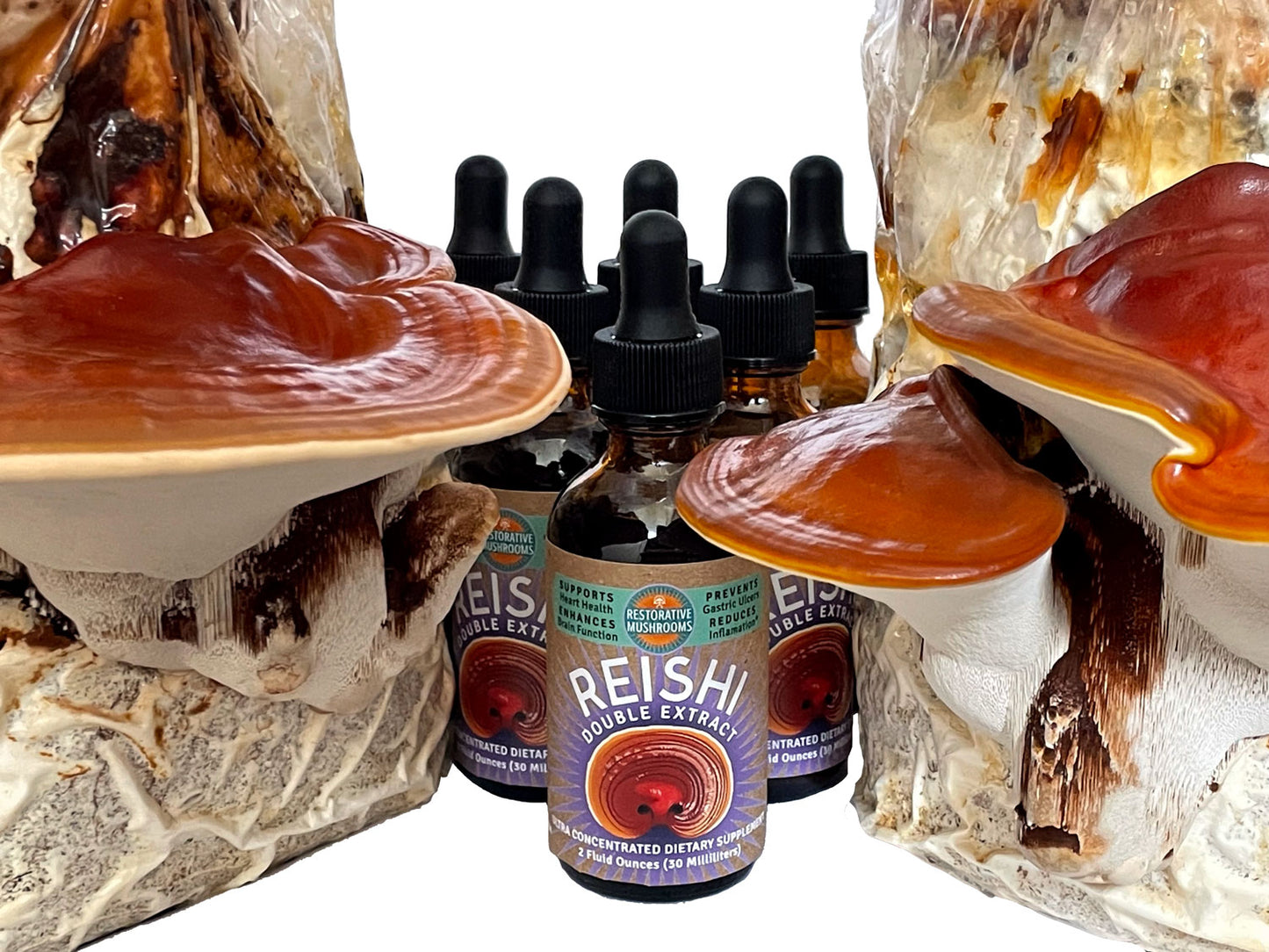 Organic Reishi Double Extract  (2 oz)