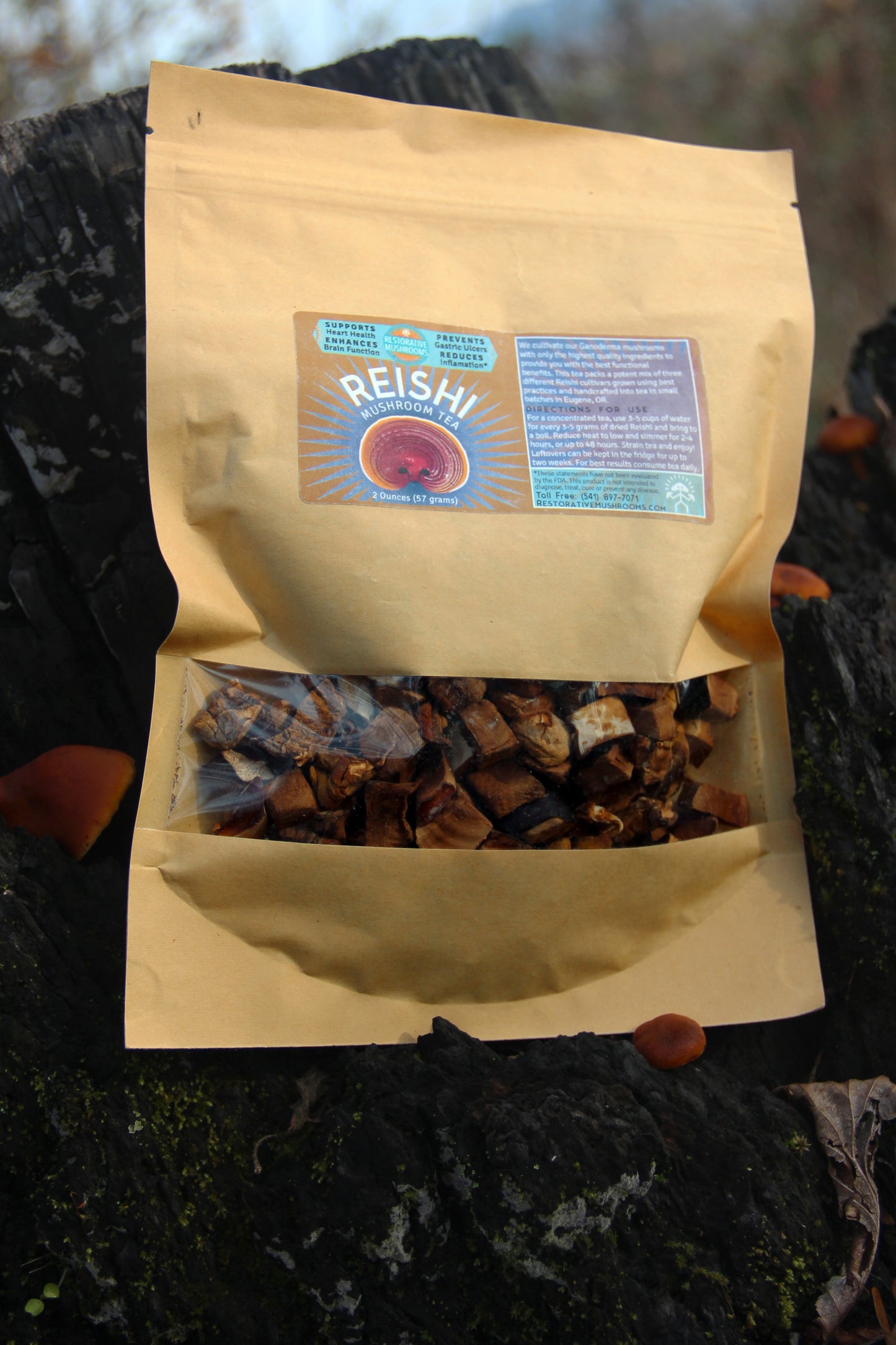 Organic Reishi Tea (2 oz)