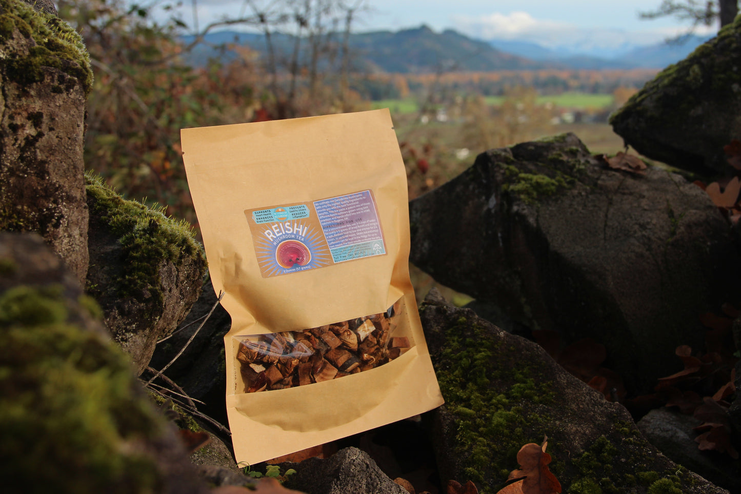 Organic Reishi Tea (2 oz)