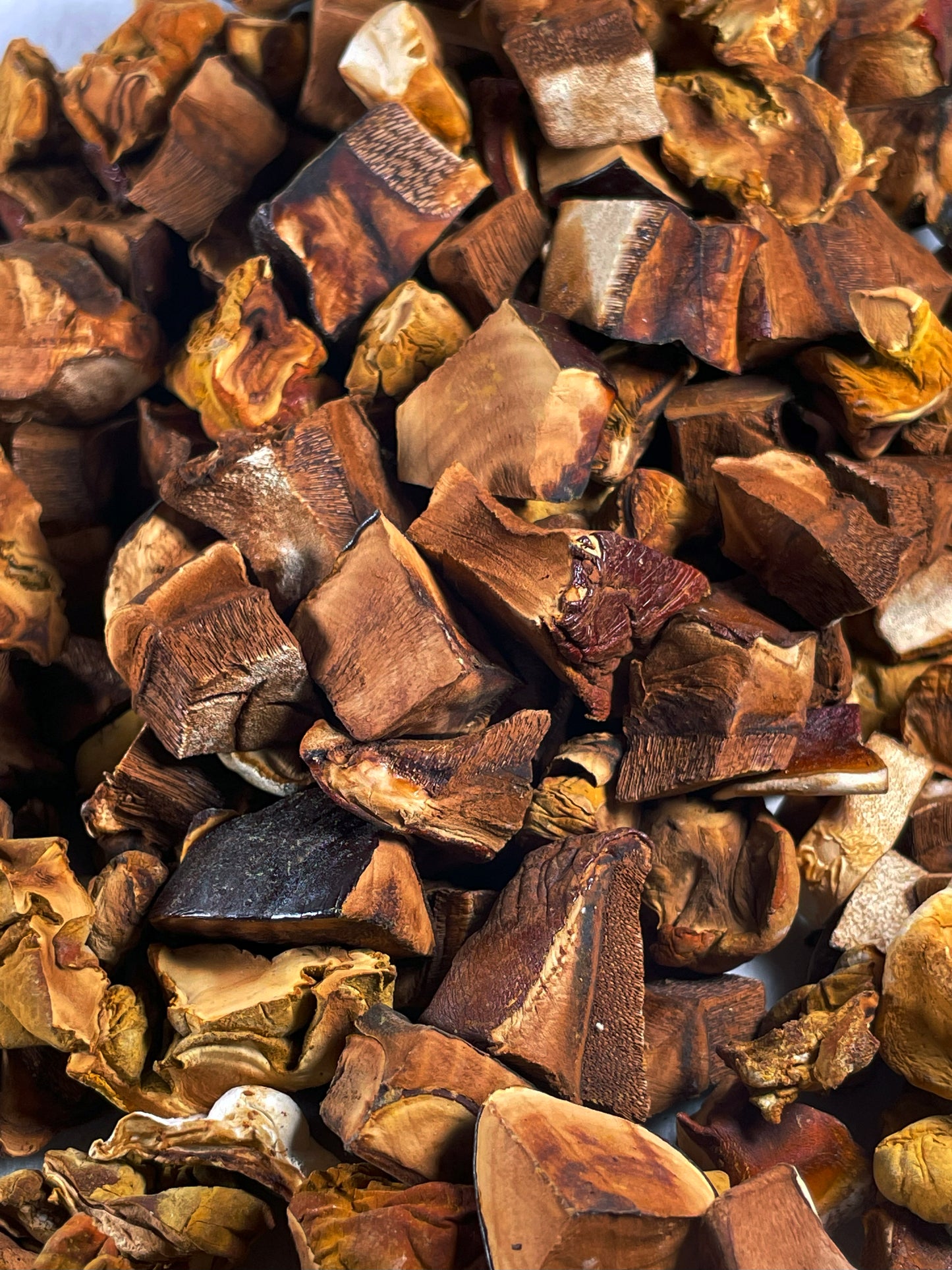 Organic Reishi Tea (2 oz)