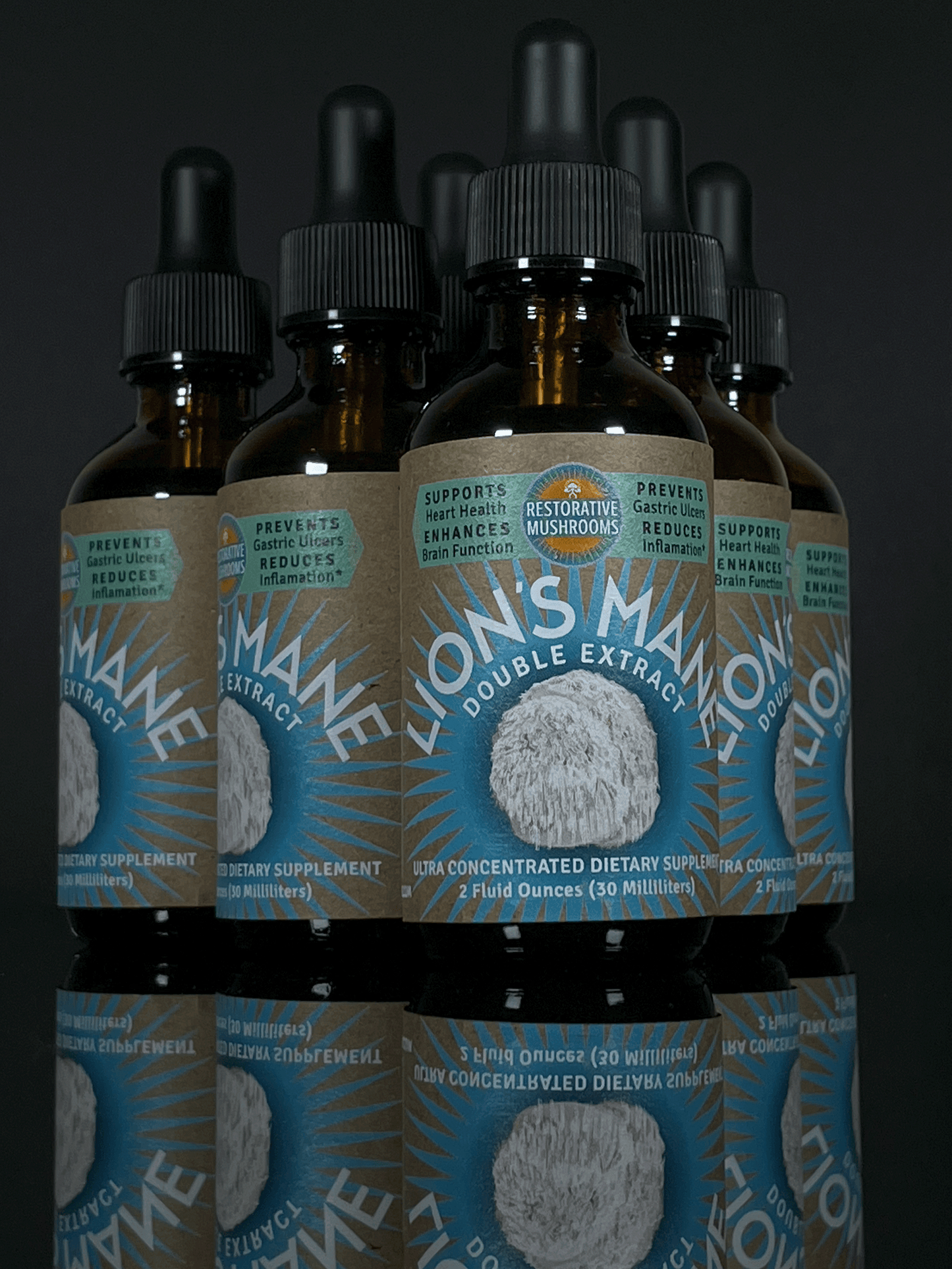 Organic Lion's Mane Double Extract (2 oz)